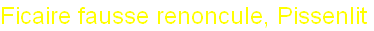 wp18d7162a.png