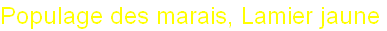 wp1e913f37.png