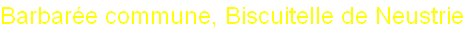 wp342ec8f4.png