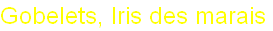 wp41e1088e.png