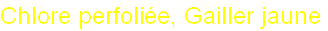 wp48917162.png