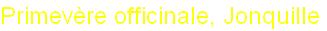 wp67f4a6be.png