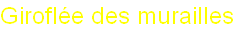 wp79786cc7.png