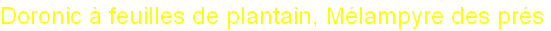 wp9de796d3.png