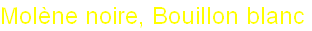 wpe1540075.png
